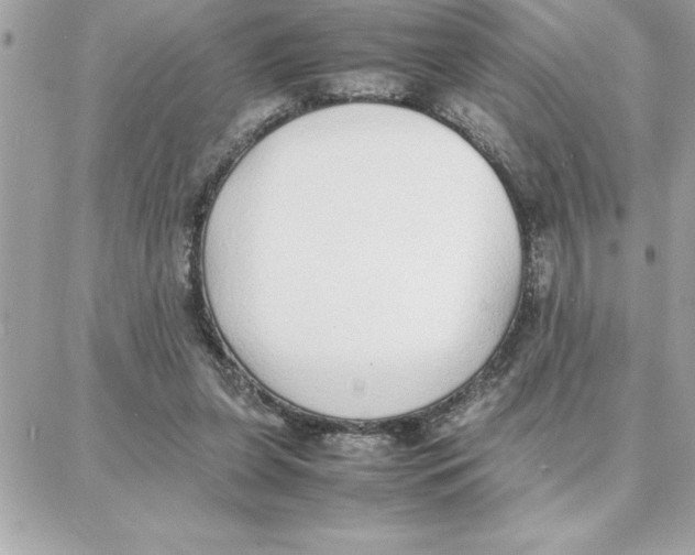 X0000087750255200706041109