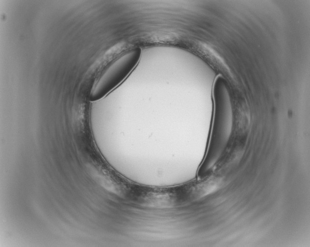 X0000087750260200706041109