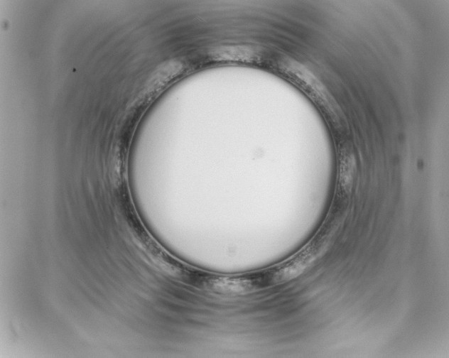 X0000087750261200706041109