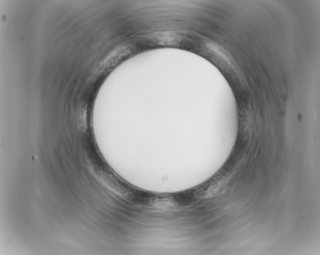 X0000087750262200706041109