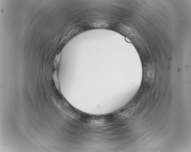 X0000087750263200706041109