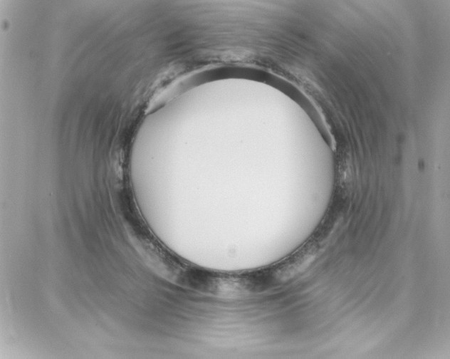 X0000087750264200706041109