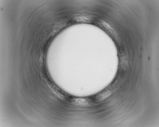 X0000087750265200706041109