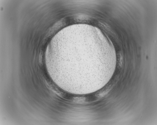 X0000087750266200706041109