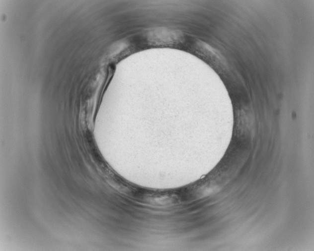 X0000087750267200706041109