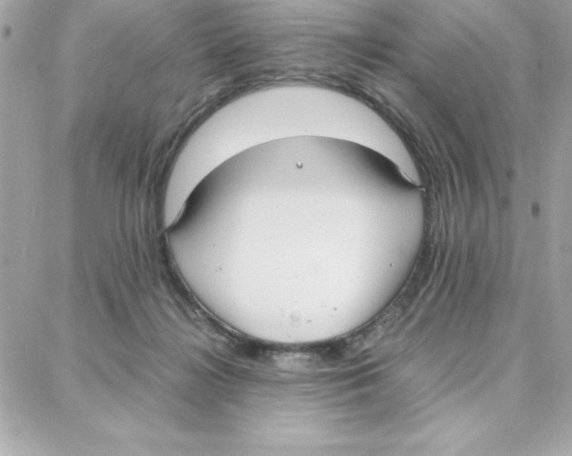 X0000087750268200706041109