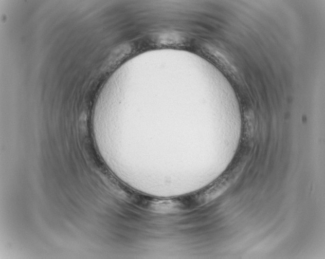 X0000087750269200706041109