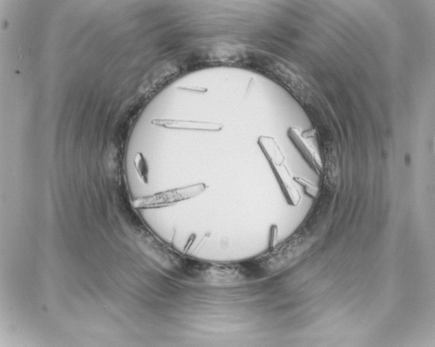 X0000087750270200706041109