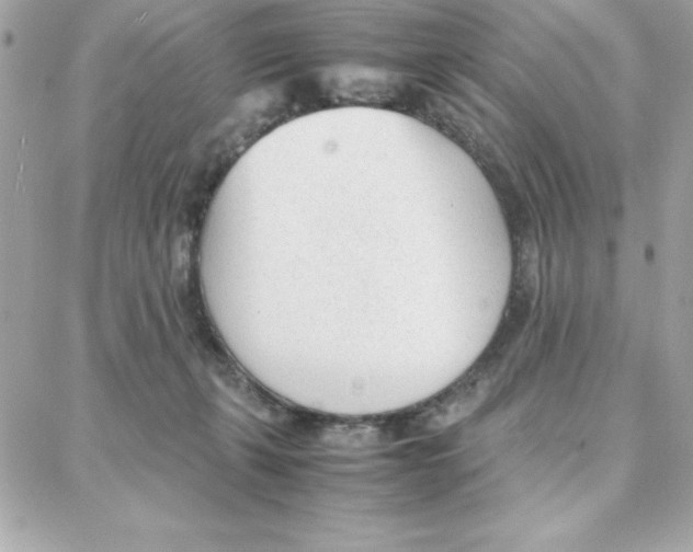 X0000087750271200706041109