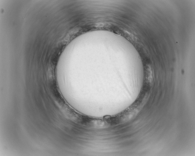 X0000087750272200706041109