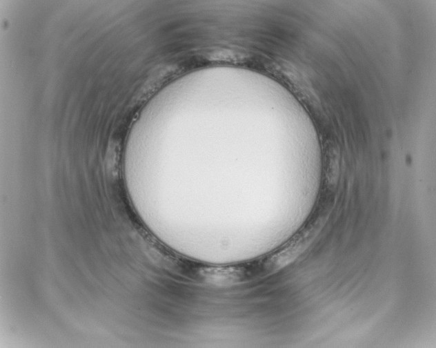 X0000087750273200706041109