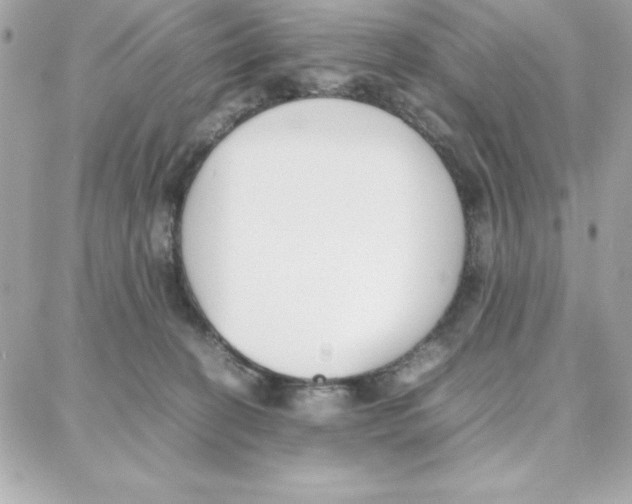 X0000087750274200706041109