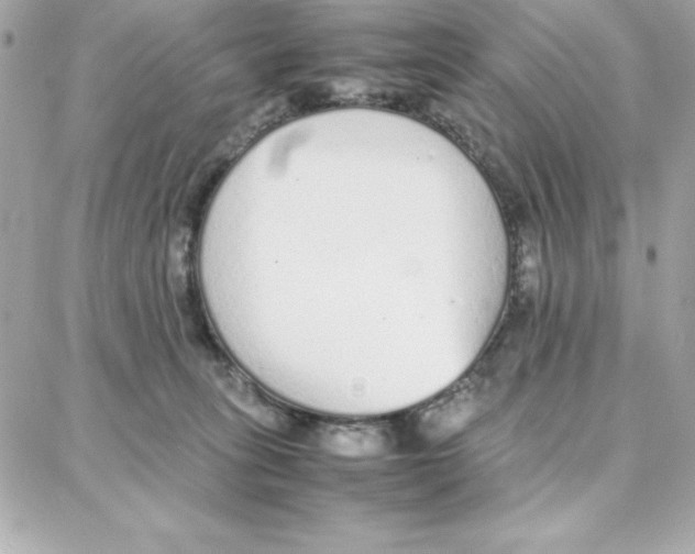 X0000087750275200706041109