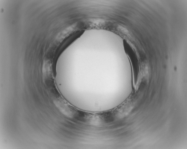 X0000087750276200706041109