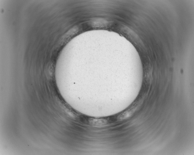 X0000087750277200706041109