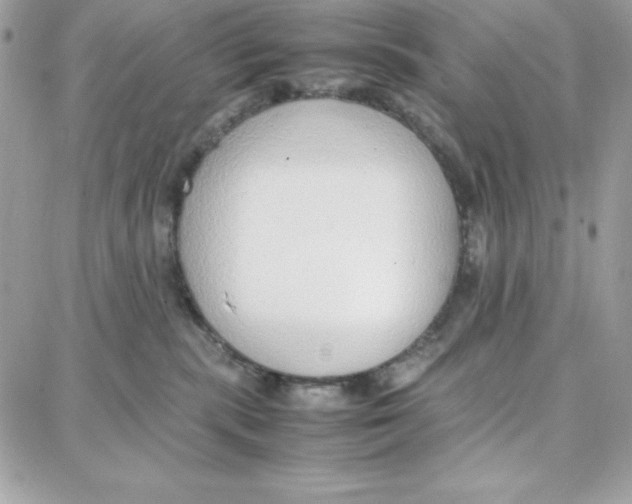 X0000087750283200706041109