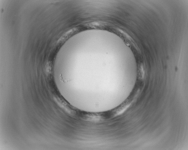 X0000087750284200706041109