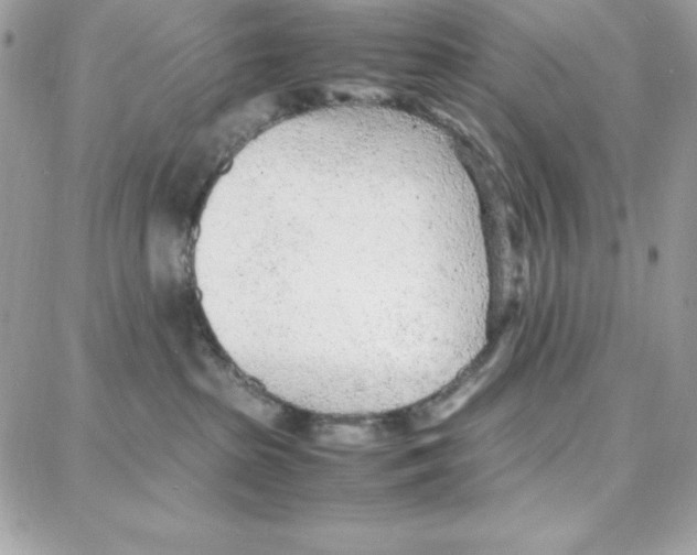 X0000087750285200706041109