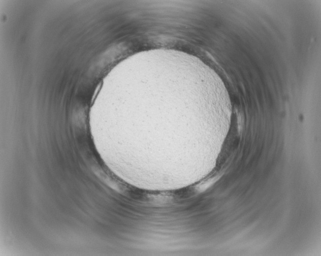 X0000087750286200706041109