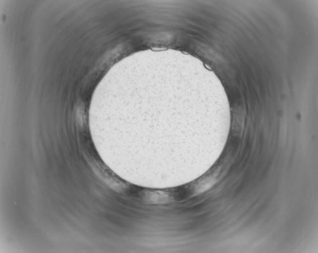 X0000087750287200706041109