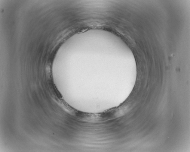 X0000087750288200706041109