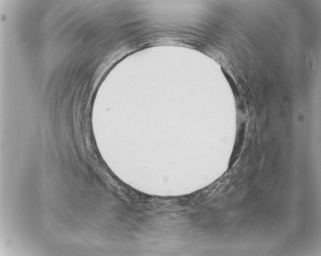 X0000087750289200706041108