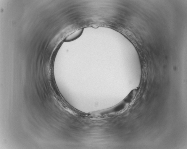 X0000087750290200706041108