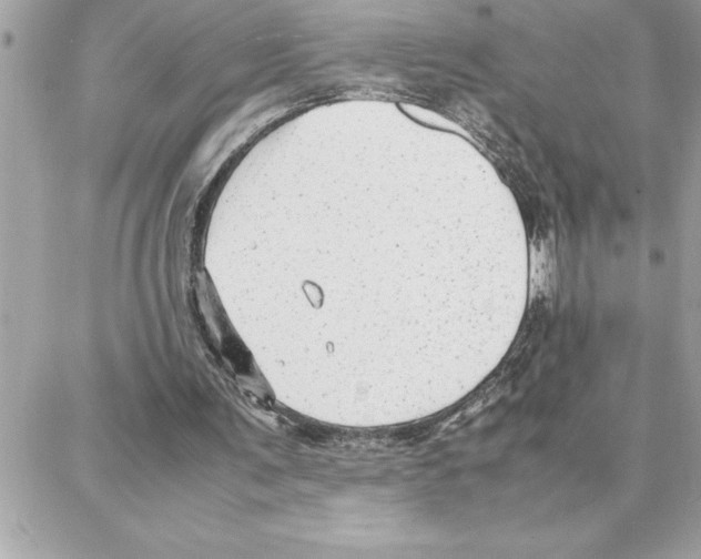 X0000087750291200706041108