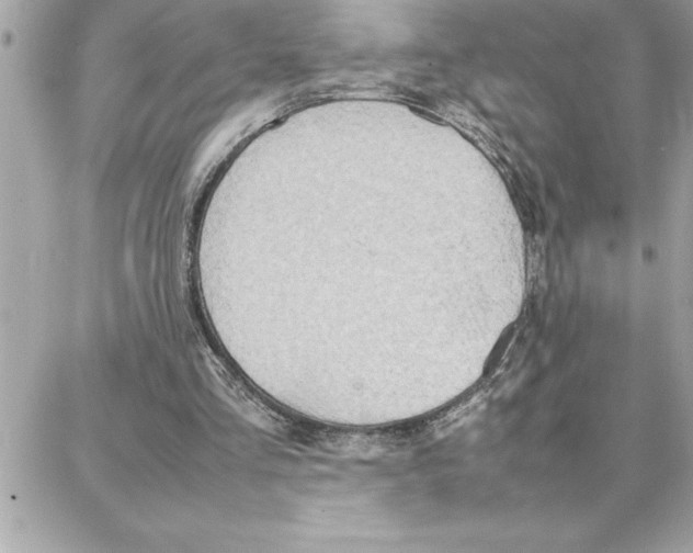 X0000087750293200706041108