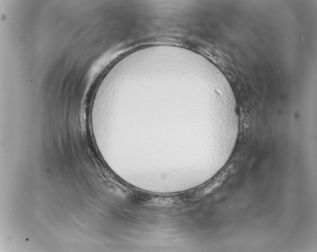 X0000087750294200706041108