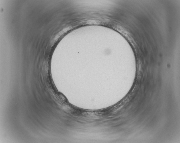 X0000087750297200706041108