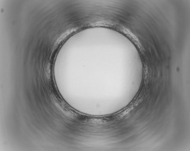 X0000087750298200706041108