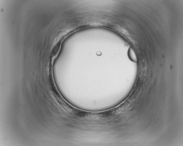 X0000087750299200706041108