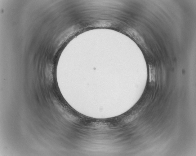 X0000087750300200706041108