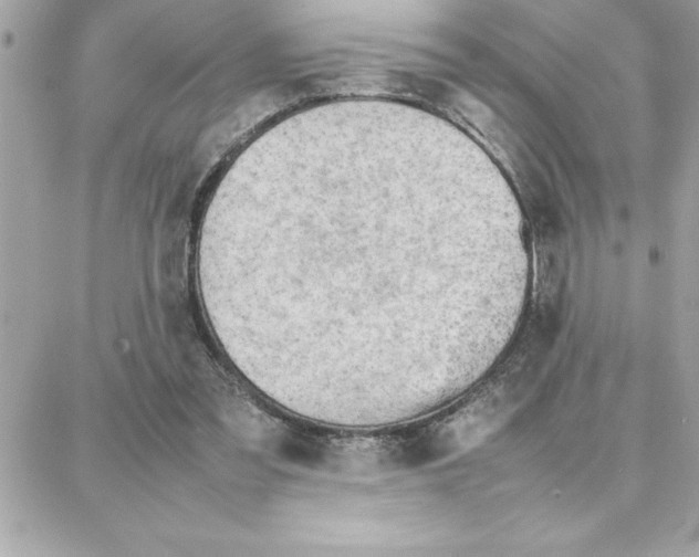 X0000087750301200706041108