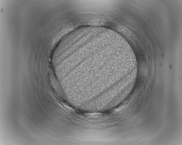 X0000087750303200706041108