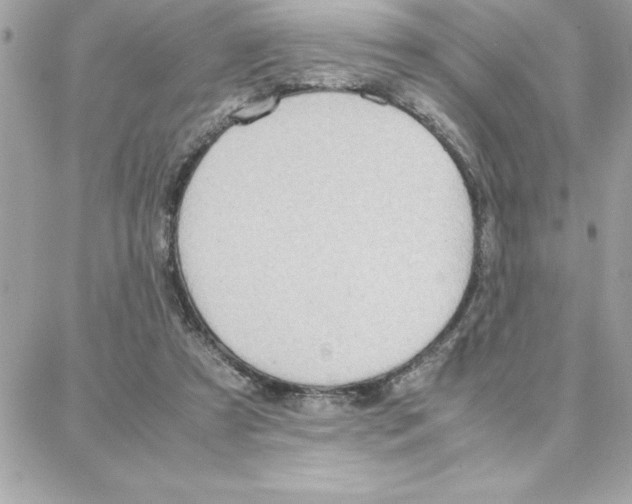 X0000087750305200706041108