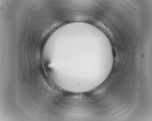 X0000087750306200706041108