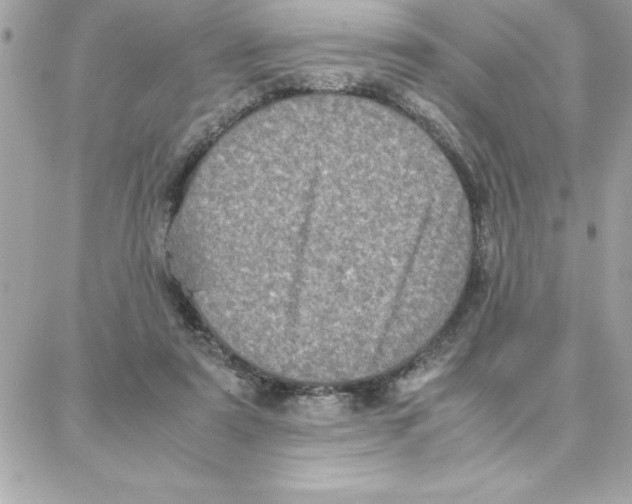 X0000087750307200706041108