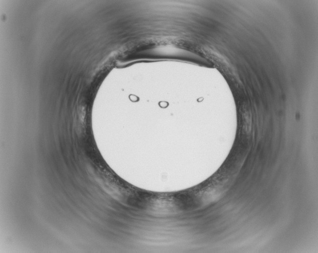 X0000087750308200706041108