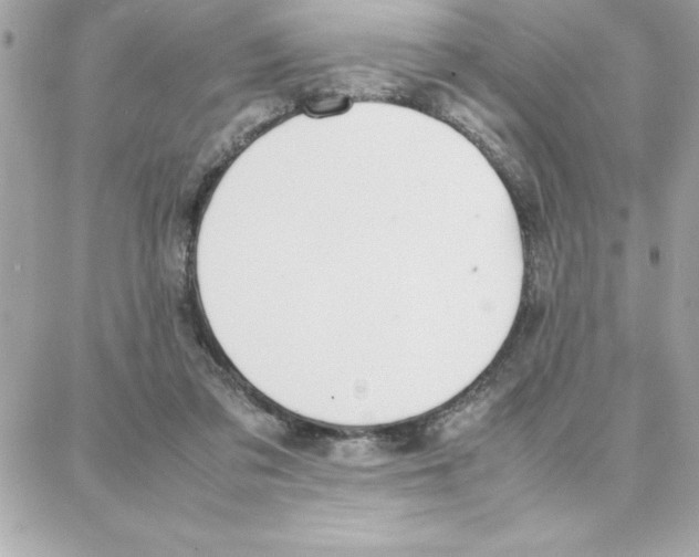 X0000087750309200706041108