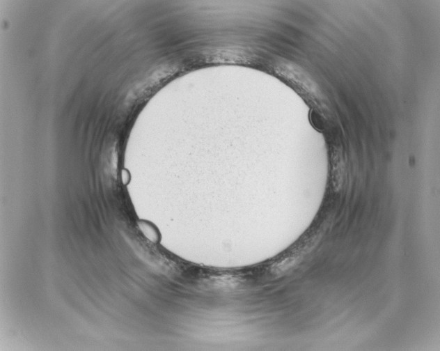 X0000087750310200706041108