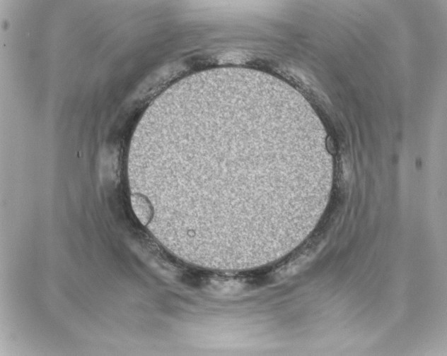 X0000087750311200706041108