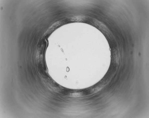 X0000087750312200706041108