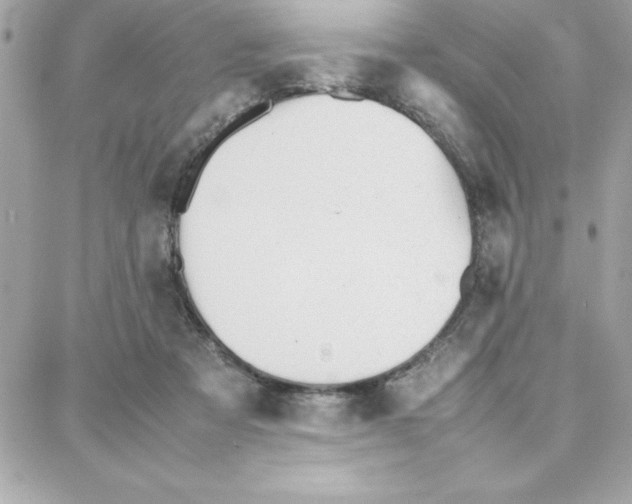 X0000087750313200706041108