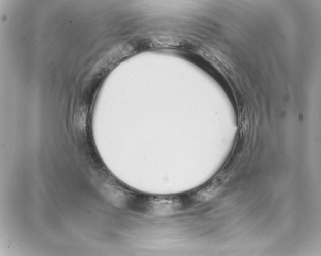 X0000087750315200706041108