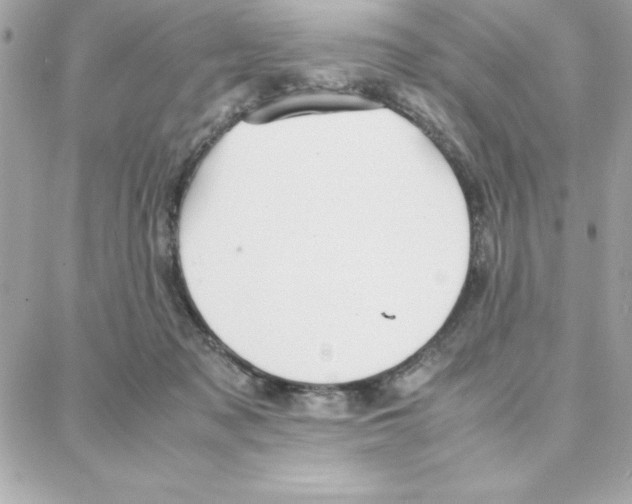 X0000087750317200706041108