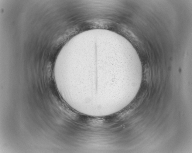 X0000087750318200706041108