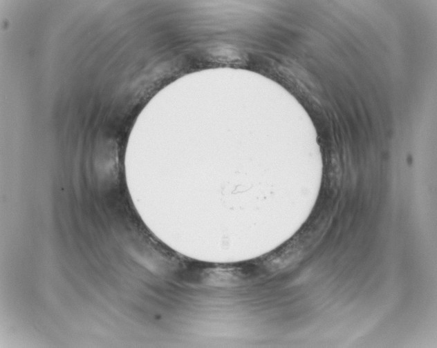 X0000087750320200706041108