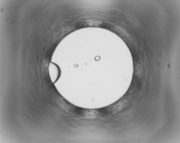 X0000087750321200706041108